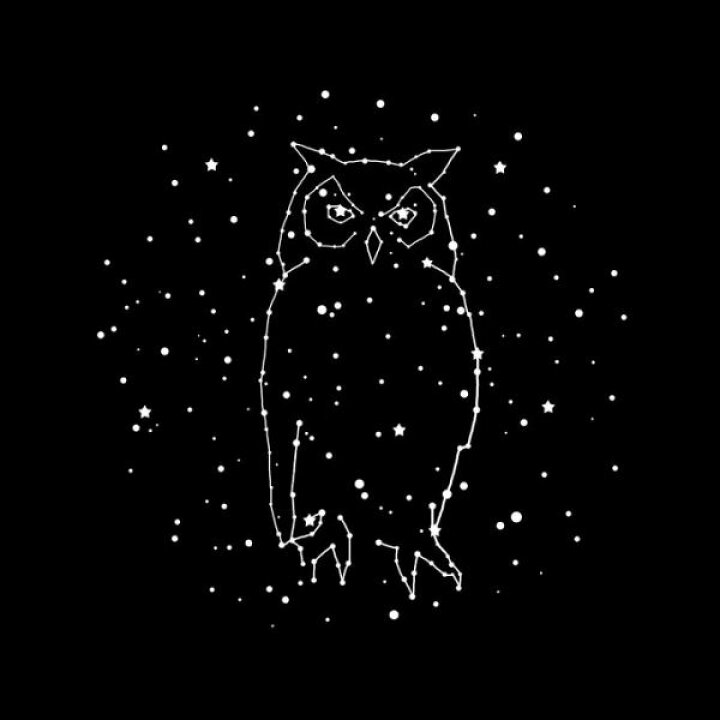 楽天市場 フクロウ 星座 黒 ブラック モノクロ モノトーンの壁紙 輸入 カスタム壁紙 Photowall Owl Constellation 貼ってはがせるフリース壁紙 不織布 海外取寄せ商品 代引き 後払い不可 壁紙屋本舗 カベガミヤホンポ