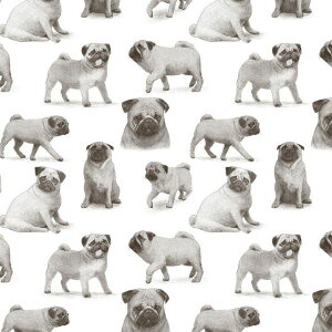 犬 アートパネル 住宅設備 リフォームの人気商品 通販 価格比較 価格 Com