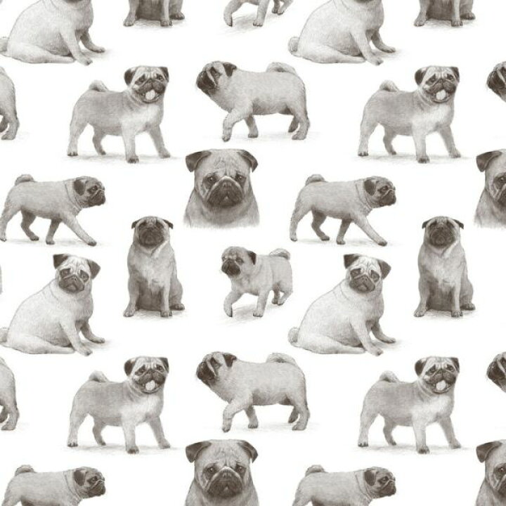 楽天市場 パグ 犬 いっぱい イラスト キッズ 子ども部屋の壁紙 輸入 カスタム壁紙 Photowall Pug Pattern 貼ってはがせるフリース壁紙 不織布 海外取寄せ商品 代引き 後払い不可 壁紙屋本舗 カベガミヤホンポ