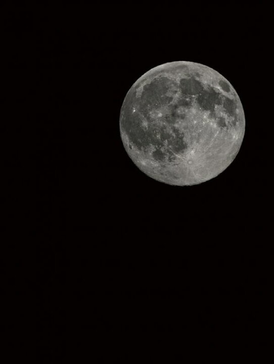 楽天市場 月 空 夜 黒 ブラック 写真の壁紙 輸入 カスタム壁紙 Photowall Moon Detail 315 貼ってはがせるフリース壁紙 不織布 海外取寄せ商品 代引き 後払い不可 壁紙屋本舗 カベガミヤホンポ