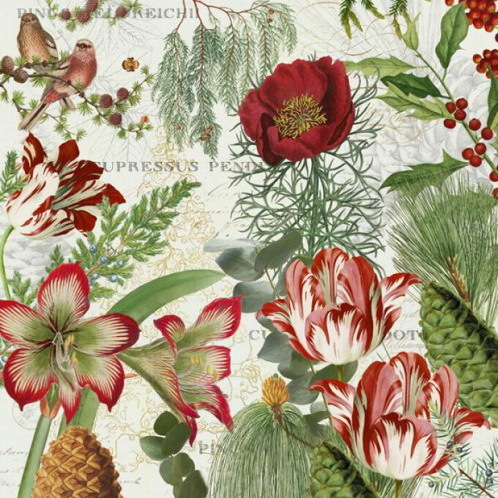楽天市場 花 ボタニカル 鳥 イラスト 赤 レッドの壁紙 輸入 カスタム壁紙 Photowall Botanical Gardens Winter 貼ってはがせるフリース壁紙 不織布 海外取寄せ商品 代引き 後払い不可 壁紙屋本舗 カベガミヤホンポ