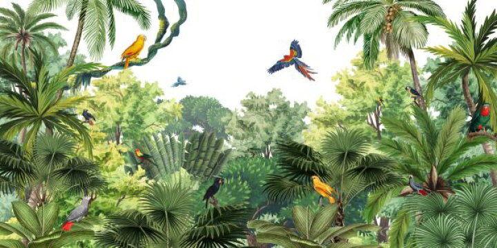 楽天市場 ジャングル 森 鳥 トロピカル イラスト 緑 グリーンの壁紙 輸入 カスタム壁紙 Photowall Canopy Jungle 貼ってはがせるフリース壁紙 不織布 海外取寄せ商品 代引き 後払い不可 壁紙屋本舗 カベガミヤホンポ 楽天市場 ジャングル 森 鳥 トロピカル イラスト 緑 グリーンの壁紙 輸入 カスタム壁紙 Photowall Canopy Jungle 貼ってはがせるフリース壁紙 不織布 海外取寄せ商品 代引き 後払い不可 壁紙屋本舗 カベガミヤホンポ