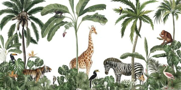 楽天市場 ジャングル 森 キリン シマウマ 動物 トロピカル イラスト 緑 グリーンの壁紙 輸入 カスタム壁紙 Photowall Jungle Jive White 貼ってはがせるフリース壁紙 不織布 海外取寄せ商品 代引き 後払い不可 壁紙屋 本舗 カベガミヤホンポ 楽天市場 ジャングル 森 キリン シマウマ 動物 トロピカル イラスト 緑 グリーンの壁紙 輸入 カスタム壁紙 Photowall Jungle Jive White 貼ってはがせるフリース壁紙 不織布 海外取寄せ商品 代引き 後払い不可 壁紙屋 本舗 カベガミヤホンポ