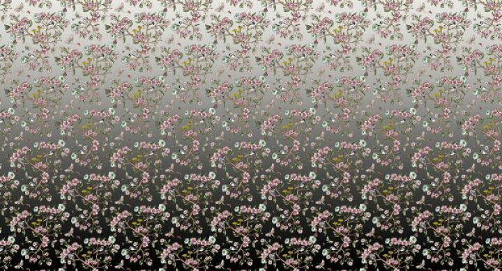 楽天市場 花柄 ゴージャス パターン グラデーションの壁紙 輸入 カスタム壁紙 Photowall Wagtails Spring Fade To Black 貼ってはがせるフリース壁紙 不織布 海外取寄せ商品 代引き 後払い不可 壁紙屋本舗 カベガミヤホンポ