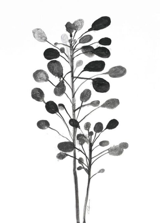 楽天市場 植物 葉 イラスト ボタニカル モノクロ モノトーンの壁紙 輸入 カスタム壁紙 Photowall Natural Botanical 300 貼ってはがせるフリース壁紙 不織布 海外取寄せ商品 代引き 後払い不可 壁紙屋本舗 カベガミヤホンポ