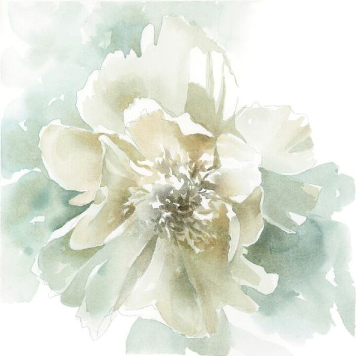 楽天市場 花 水彩画 白 ホワイトの壁紙 輸入 カスタム壁紙 Photowall Poetic Blooming 306 貼ってはがせるフリース壁紙 不織布 海外取寄せ商品 代引き 後払い不可 壁紙屋本舗 カベガミヤホンポ