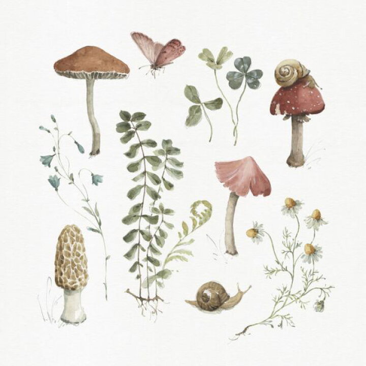 楽天市場 きのこ 花 葉 植物 ボタニカル イラストの壁紙 輸入 カスタム壁紙 Photowall Forest Treasures 02 貼ってはがせるフリース壁紙 不織布 海外取寄せ商品 代引き 後払い不可 壁紙屋本舗 カベガミヤホンポ 楽天市場 きのこ 花 葉 植物 ボタニカル イラストの壁紙 輸入 カスタム壁紙 Photowall Forest Treasures 02 貼ってはがせるフリース壁紙 不織布 海外取寄せ商品 代引き 後払い不可 壁紙屋本舗 カベガミヤホンポ