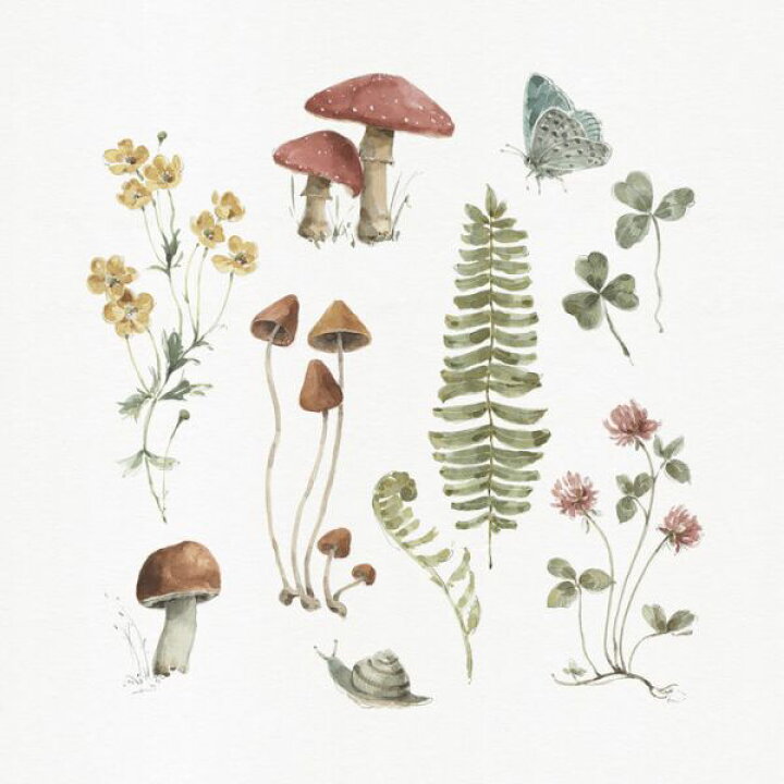 楽天市場 きのこ 花 葉 植物 ボタニカル イラストの壁紙 輸入 カスタム壁紙 Photowall Forest Treasures 03 貼ってはがせるフリース壁紙 不織布 海外取寄せ商品 代引き 後払い不可 壁紙屋本舗 カベガミヤホンポ 楽天市場 きのこ 花 葉 植物 ボタニカル イラストの壁紙 輸入 カスタム壁紙 Photowall Forest Treasures 03 貼ってはがせるフリース壁紙 不織布 海外取寄せ商品 代引き 後払い不可 壁紙屋本舗 カベガミヤホンポ