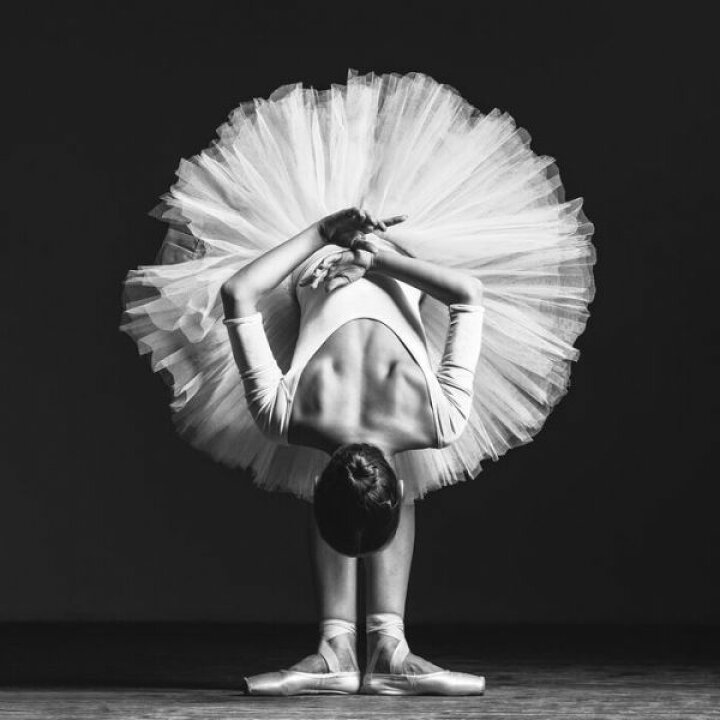 楽天市場 バレリーナ ダンサー 写真 モノクロ モノトーンの壁紙 輸入 カスタム壁紙 Photowall Ballerina At Class 貼ってはがせるフリース壁紙 不織布 海外取寄せ商品 代引き 後払い不可 壁紙屋本舗 カベガミヤホンポ