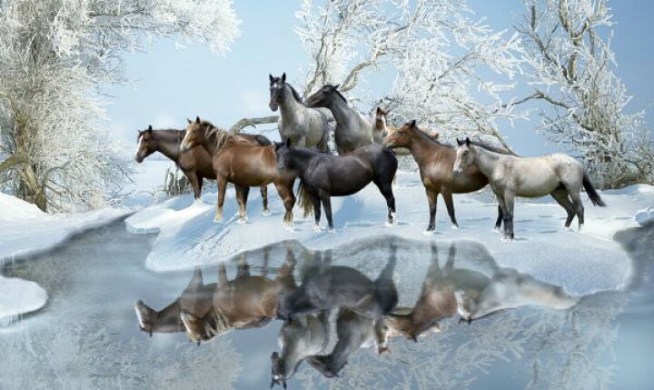 楽天市場 馬 水辺 雪 イラストの壁紙 輸入 カスタム壁紙 Photowall Cold Water Crossing 貼ってはがせるフリース壁紙 不織布 海外取寄せ商品 代引き 後払い不可 壁紙屋本舗 カベガミヤホンポ
