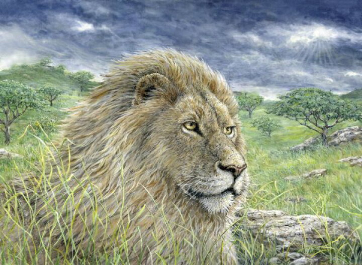 楽天市場 ライオン 木 空 イラストの壁紙 輸入 カスタム壁紙 Photowall Lion Painting 貼ってはがせるフリース壁紙 不織布 海外取寄せ商品 代引き 後払い不可 壁紙屋本舗 カベガミヤホンポ