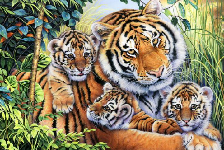 楽天市場 虎 トラ 親子 イラストの壁紙 輸入 カスタム壁紙 Photowall Tiger Family 貼ってはがせるフリース壁紙 不織布 海外取寄せ商品 代引き 後払い不可 壁紙屋本舗 カベガミヤホンポ