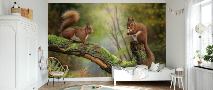 楽天市場 リス 動物 森の壁紙 輸入 カスタム壁紙 Photowall Red Squirrels 貼ってはがせるフリース壁紙 不織布 海外取寄せ商品 代引き 後払い不可 壁紙屋本舗 カベガミヤホンポ