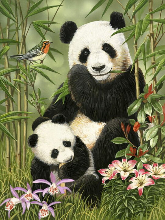 楽天市場 パンダ 親子 イラストの壁紙 輸入 カスタム壁紙 Photowall Panda Art 貼ってはがせるフリース壁紙 不織布 海外取寄せ商品 代引き 後払い不可 壁紙屋本舗 カベガミヤホンポ