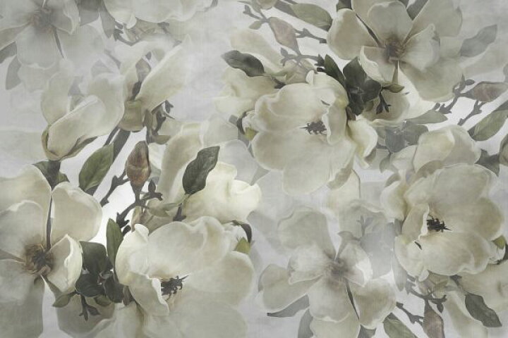 楽天市場 マグノリア モクレン 花 白 ホワイトの壁紙 輸入 カスタム壁紙 Photowall Magnolias 貼ってはがせるフリース壁紙 不織布 海外取寄せ商品 代引き 後払い不可 壁紙屋本舗 カベガミヤホンポ