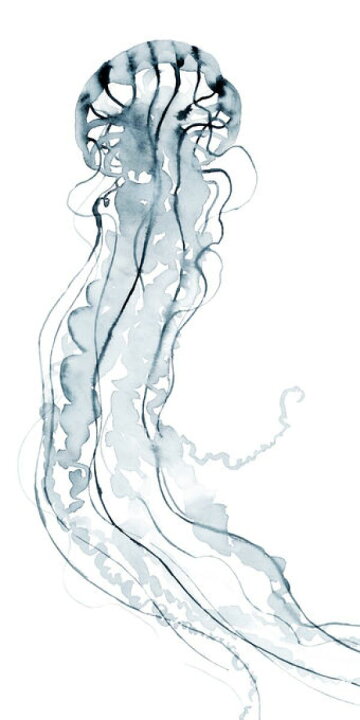 楽天市場 クラゲ イラスト 青 ブルーの壁紙 輸入 カスタム壁紙 Photowall Deep Sea Jelly 貼ってはがせるフリース壁紙 不織布 海外取寄せ商品 代引き 後払い不可 壁紙屋本舗 カベガミヤホンポ