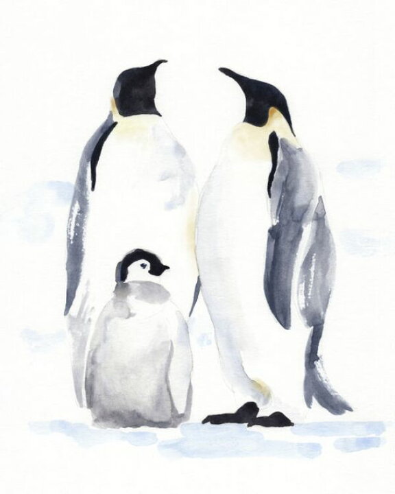 楽天市場 ペンギン イラスト 水彩画 灰色 グレーの壁紙 輸入 カスタム壁紙 Photowall Emperor Penguins Ii 貼ってはがせるフリース壁紙 不織布 海外取寄せ商品 代引き 後払い不可 壁紙屋本舗 カベガミヤホンポ