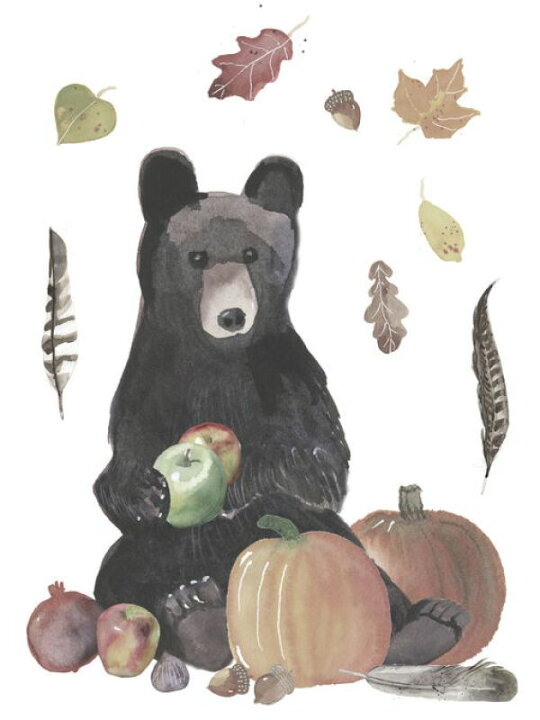 楽天市場 クマ イラスト キッズ 子ども部屋の壁紙 輸入 カスタム壁紙 Photowall Cute Autumn Forest 貼ってはがせるフリース壁紙 不織布 海外取寄せ商品 代引き 後払い不可 壁紙屋本舗 カベガミヤホンポ