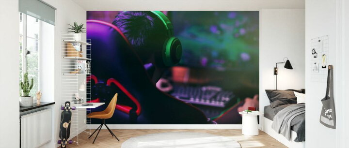 楽天市場 ゲーム ゲーミングpcの壁紙 輸入 カスタム壁紙 Photowall Gamer Playing Games 貼ってはがせるフリース壁紙 不織布 海外取寄せ商品 代引き 後払い不可 壁紙屋本舗 カベガミヤホンポ