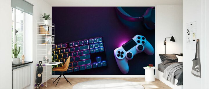 楽天市場 ゲーム ゲーミングpcの壁紙 輸入 カスタム壁紙 Photowall Colorful Gaming Accessories 貼ってはがせるフリース壁紙 不織布 海外取寄せ商品 代引き 後払い不可 壁紙屋本舗 カベガミヤホンポ