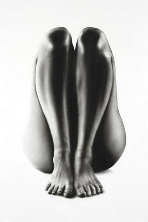 楽天市場 脚 アート モノクロ モノトーンの壁紙 輸入 カスタム壁紙 Photowall Nude Woman Charcoal Study 65 貼ってはがせるフリース壁紙 不織布 海外取寄せ商品 代引き 後払い不可 壁紙屋本舗 カベガミヤホンポ