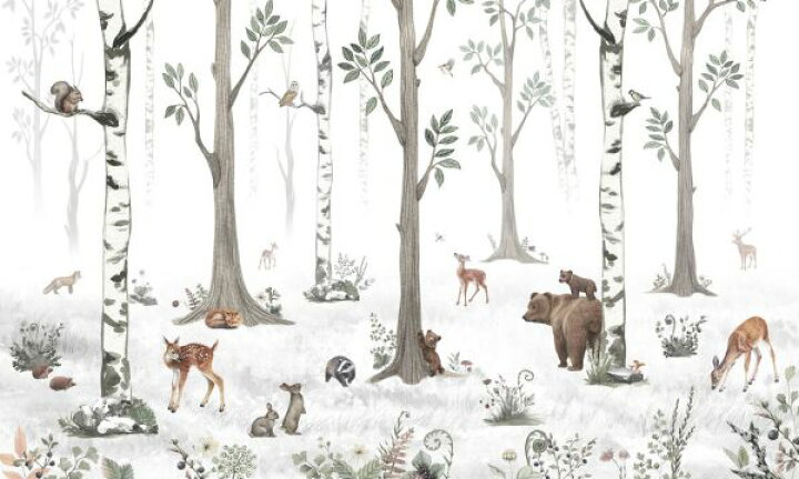 楽天市場 森 動物 クマ 鹿 シカ キツネ ウサギ イラスト 白樺の壁紙 輸入 カスタム壁紙 Photowall White Forest E 貼ってはがせるフリース壁紙 不織布 海外取寄せ商品 代引き 後払い不可 壁紙屋本舗 カベガミヤホンポ 楽天市場 森 動物 クマ 鹿 シカ キツネ ウサギ イラスト 白樺の壁紙 輸入 カスタム壁紙 Photowall White Forest E 貼ってはがせるフリース壁紙 不織布 海外取寄せ商品 代引き 後払い不可 壁紙屋本舗 カベガミヤホンポ