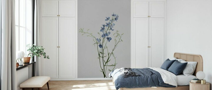 楽天市場 デルフィニウム 花 紫 パープル 灰色 グレーの壁紙 輸入 カスタム壁紙 Photowall Delphinium E 貼ってはがせるフリース壁紙 不織布 海外取寄せ商品 代引き 後払い不可 壁紙屋本舗 カベガミヤホンポ 楽天市場 デルフィニウム 花 紫 パープル 灰色 グレーの壁紙 輸入 カスタム壁紙 Photowall Delphinium E 貼ってはがせるフリース壁紙 不織布 海外取寄せ商品 代引き 後払い不可 壁紙屋本舗 カベガミヤホンポ
