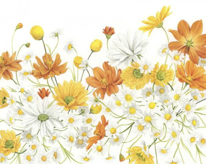 楽天市場 花 イラスト オレンジ 黄色 イエローの壁紙 輸入 カスタム壁紙 Photowall Sunny Wild Bouquet 貼ってはがせるフリース壁紙 不織布 海外取寄せ商品 代引き 後払い不可 壁紙屋本舗 カベガミヤホンポ 楽天市場 花 イラスト オレンジ 黄色 イエローの壁紙 輸入 カスタム壁紙 Photowall Sunny Wild Bouquet 貼ってはがせるフリース壁紙 不織布 海外取寄せ商品 代引き 後払い不可 壁紙屋本舗 カベガミヤホンポ