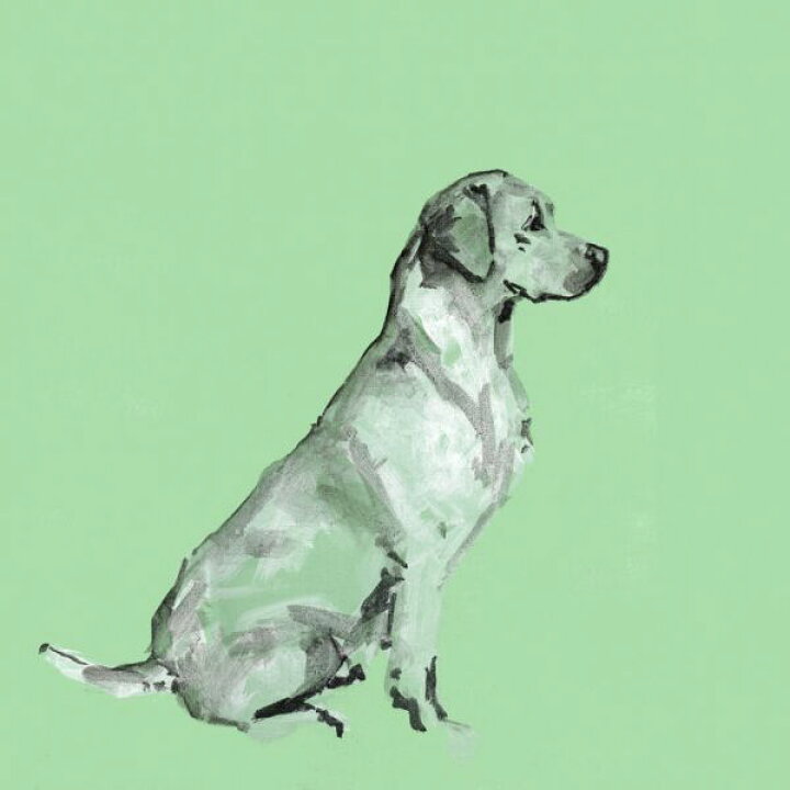 楽天市場 犬 イヌ イラスト アート 緑 グリーンの壁紙 輸入 カスタム壁紙 Photowall A Very Pop Modern Dog Iii 貼ってはがせるフリース壁紙 不織布 海外取寄せ商品 代引き 後払い不可 壁紙屋本舗 カベガミヤホンポ