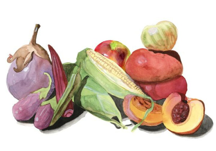 楽天市場 野菜 イラスト 水彩画の壁紙 輸入 カスタム壁紙 Photowall Farmer S Market 貼ってはがせるフリース壁紙 不織布 海外取寄せ商品 代引き 後払い不可 壁紙屋本舗 カベガミヤホンポ
