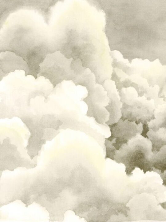 楽天市場 雲 空 イラスト ベージュの壁紙 輸入 カスタム壁紙 Photowall Storm Brew 貼ってはがせるフリース 壁紙 不織布 海外取寄せ商品 代引き 後払い不可 壁紙屋本舗 カベガミヤホンポ 楽天市場 雲 空 イラスト ベージュの壁紙 輸入 カスタム壁紙 Photowall Storm Brew 貼ってはがせるフリース 壁紙 不織布 海外取寄せ商品 代引き 後払い不可 壁紙屋本舗 カベガミヤホンポ
