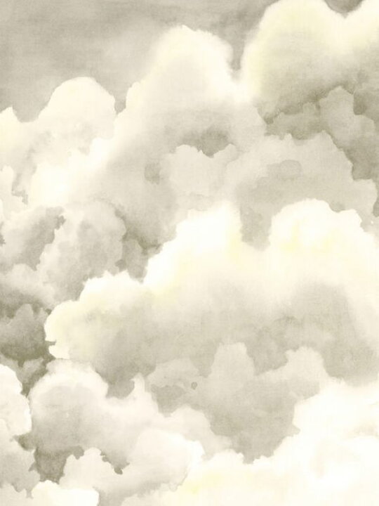 楽天市場 雲 空 イラスト ベージュの壁紙 輸入 カスタム壁紙 Photowall Storm Brew Ii 貼ってはがせるフリース壁紙 不織布 海外取寄せ商品 代引き 後払い不可 壁紙屋本舗 カベガミヤホンポ 楽天市場 雲 空 イラスト ベージュの壁紙 輸入 カスタム壁紙 Photowall Storm Brew Ii 貼ってはがせるフリース壁紙 不織布 海外取寄せ商品 代引き 後払い不可 壁紙屋本舗 カベガミヤホンポ