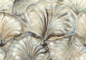 貝殻 ホワイト ベージュの壁紙 輸入 カスタム壁紙 PHOTOWALL / Artistic Seashells (e85574) 貼ってはがせるフリース壁紙(不織布) 【海外取寄せ商品】 【代引き・後払い不可】