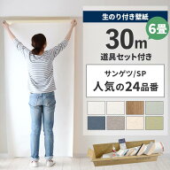 【9/20は全品ポイント5倍】 壁紙 のり付き 30m 道具付き 6畳 壁紙の上から貼れるBEST24 白 ホワイト シン…