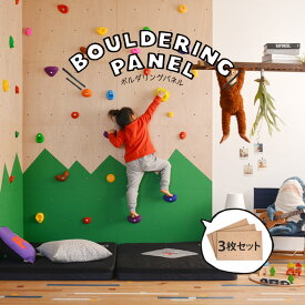 【4/15全品ポイント5倍！】 ボルダリング パネル 無塗装 910mm×606mm×18mm クライミング パネル 3枚セット （爪付きナット付）【メーカー直送のため代引き不可】