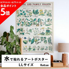 水だけで何度も貼れるはがせる アートポスター 賃貸OK のり付き Hattan Art Poster ハッタンアートポスター School and family charts, No. XXII. botanical: economical uses of plants / HP-00017 LLサイズ(90cm×120cm) 砂壁 に 貼れる 壁紙ポスター 壁紙屋本舗