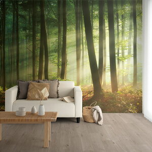 X̕ǎ TCYI[_[ł ~[ǎ ɂ₳t[XfނPVCt[ǎîȂj Beautiful morning in the forest NSO-G00020 ʐ^ǎ ǎ{ {iIWivg