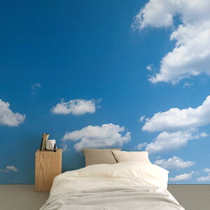 ySiΏۃN[|zzz  _̕ǎ TCYI[_[ ~[ǎ t[XǎîȂj blue sky and white summer clouds NSO-G00034