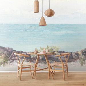 TCYI[_[ ~[ǎ t[XǎîȂj Along the Coast NSO-G00201