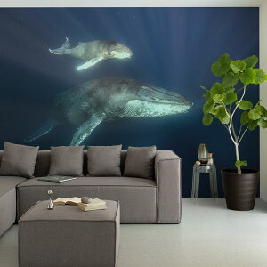 ySiΏۃN[|zzz TCYI[_[ ~[ǎ t[XǎîȂj ČiFǎ  UgENW̐eqiꎅj NSO-K00001