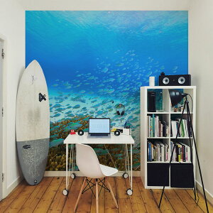 ySiΏۃN[|zzz TCYI[_[ ~[ǎ t[XǎîȂj ČiFǎ  foXY_CiꈢÓj NSO-K00002