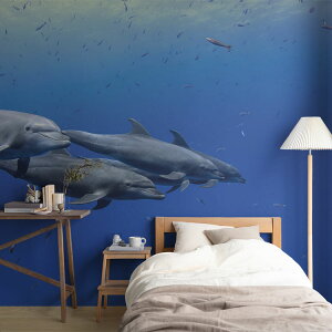 ySiΏۃN[|zzz TCYI[_[ ~[ǎ t[XǎîȂj ČiFǎ  ohECJ(\RLVR) NSO-K00003