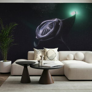 ySiΏۃN[|zzz TCYI[_[ ~[ǎ t[XǎîȂj ČiFǎ  }^ifBuj NSO-K00004