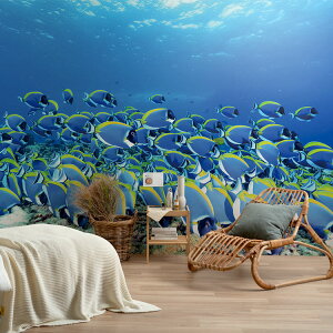 ySiΏۃN[|zzz TCYI[_[ ~[ǎ t[XǎîȂj ČiFǎ  pE_[u[T[WtBbVifBuj NSO-K00006