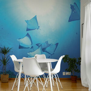 ySiΏۃN[|zzz TCYI[_[ ~[ǎ t[XǎîȂj ČiFǎ  }_grGCiTCpj NSO-K00008