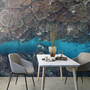 ySiΏۃN[|zzz TCYI[_[ ~[ǎ t[XǎîȂj ČiFǎ  e[uR[Ɠiꔵ^j NSO-K00016