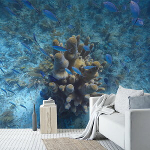 ySiΏۃN[|zzz TCYI[_[ ~[ǎ t[XǎîȂj ČiFǎ  TSƐiL[oj NSO-K00018