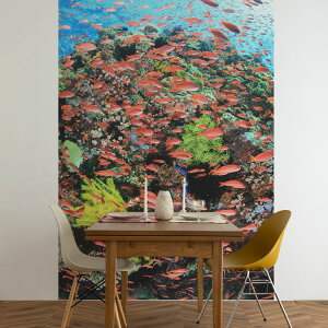 ySiΏۃN[|zzz TCYI[_[ ~[ǎ t[XǎîȂj ČiFǎ  LMni_ČQjitBsj NSO-K00019