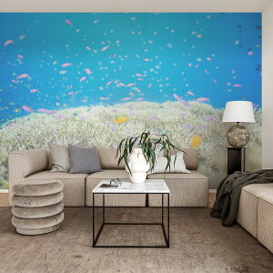 ySiΏۃN[|zzz TCYI[_[ ~[ǎ t[XǎîȂj ČiFǎ  TSƃp[vr[eB[itBsj NSO-K00020