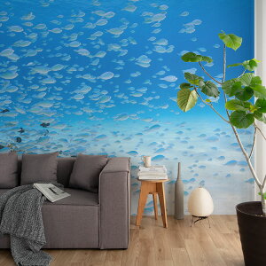 ySiΏۃN[|zzz TCYI[_[ ~[ǎ t[XǎîȂj ČiFǎ  foXY_CiꈢÓj NSO-K00024